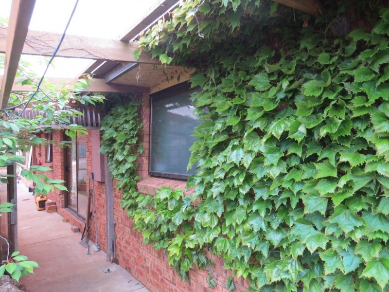 169 Goodland Road, Wilmot TAS 7310