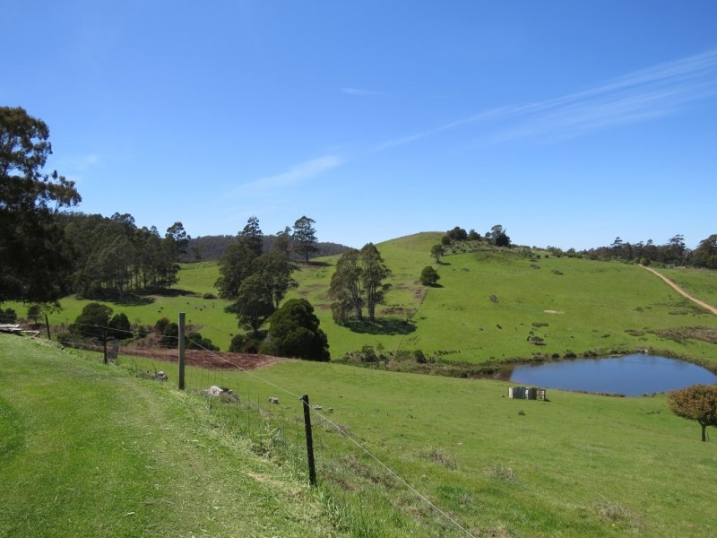 169 Goodland Road, Wilmot TAS 7310