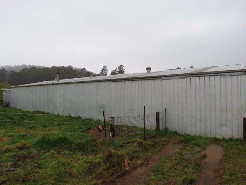 169 Goodland Road, Wilmot TAS 7310