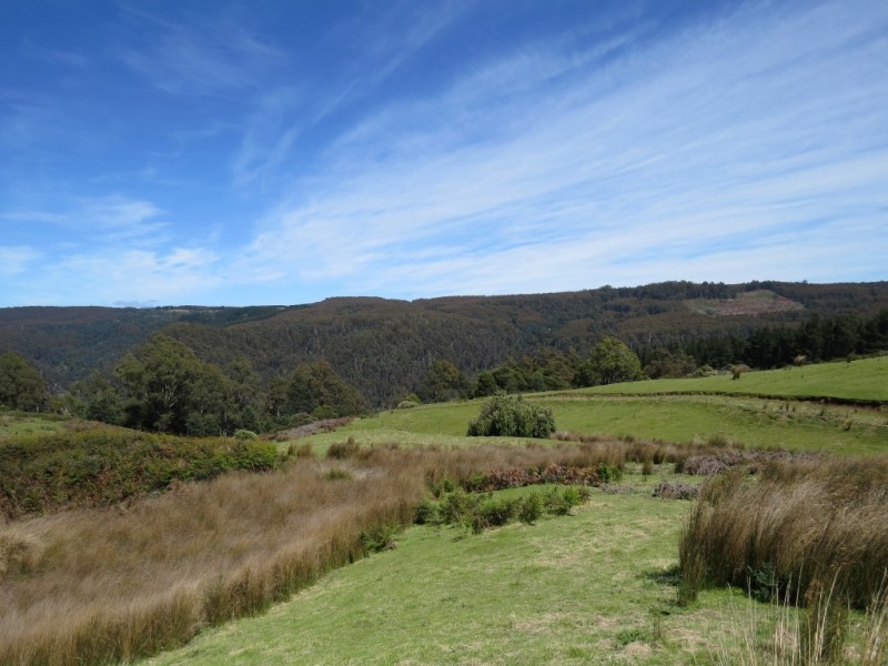 Lot 2 Narrawa Road, Wilmot TAS 7310