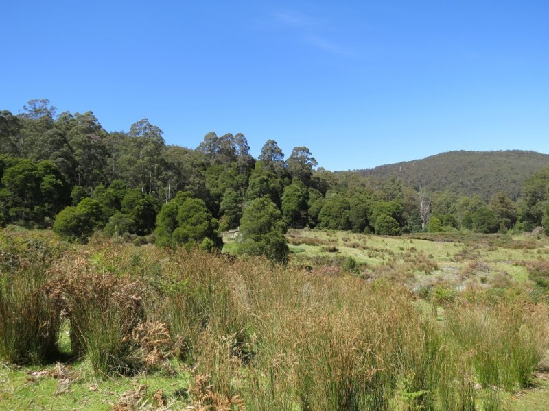 Lot 2 Narrawa Road, Wilmot TAS 7310