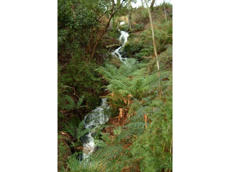 Lot 2 Narrawa Road, Wilmot TAS 7310