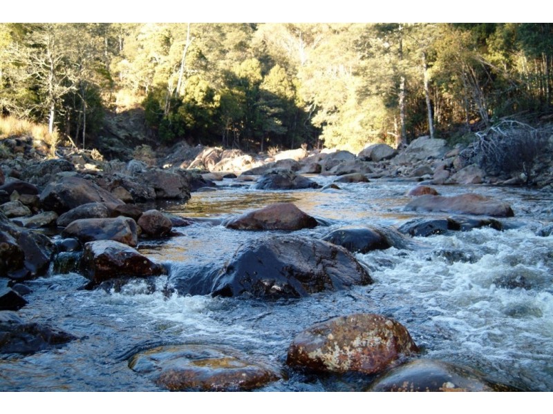 Lot 2 Narrawa Road, Wilmot TAS 7310