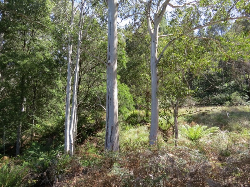 Lot 2 Narrawa Road, Wilmot TAS 7310