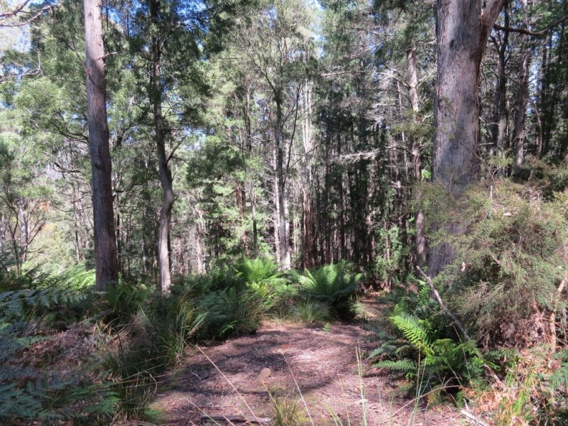 Lot 2 Narrawa Road, Wilmot TAS 7310