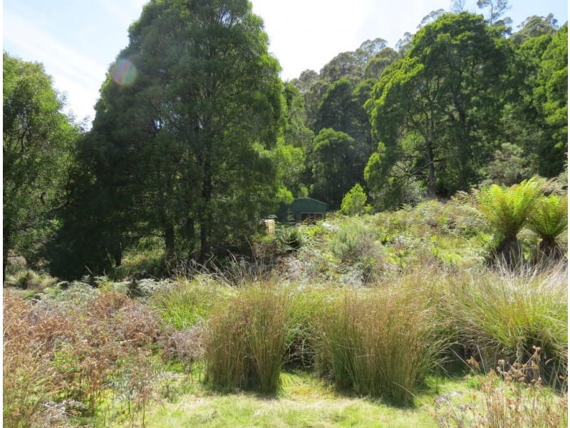 Lot 2 Narrawa Road, Wilmot TAS 7310