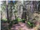 Lot 2 Narrawa Road, Wilmot TAS 7310