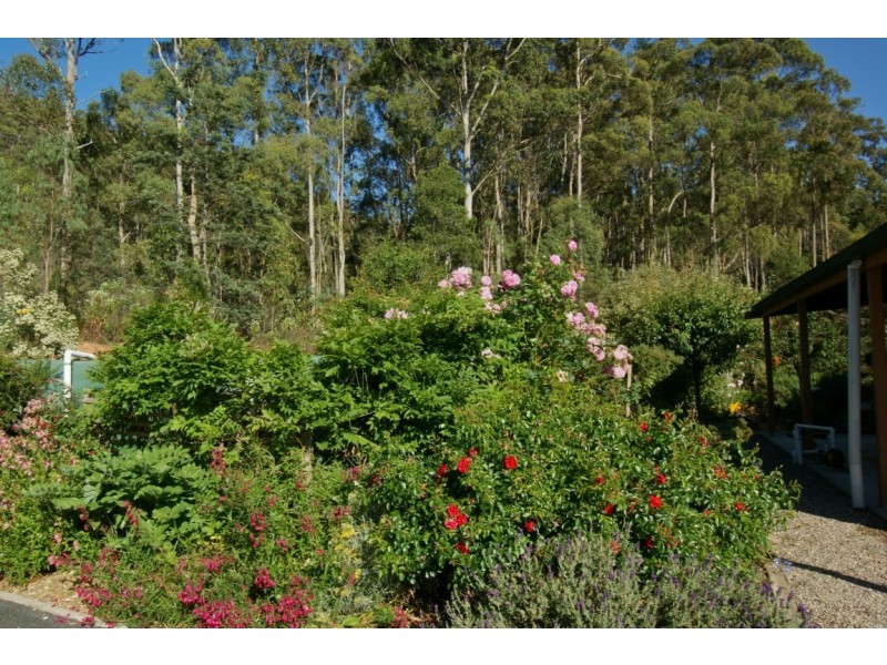 1060 Wilmot Road, Kindred TAS 7310