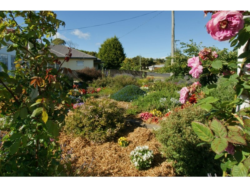 61 Lovett Street, Ulverstone TAS 7315
