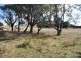 1210 Castra Road, Sprent TAS 7315