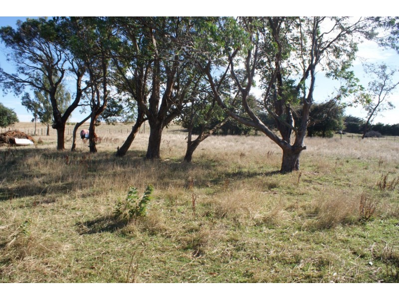 1210 Castra Road, Sprent TAS 7315
