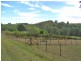 89 Browns Lane, Penguin TAS 7316