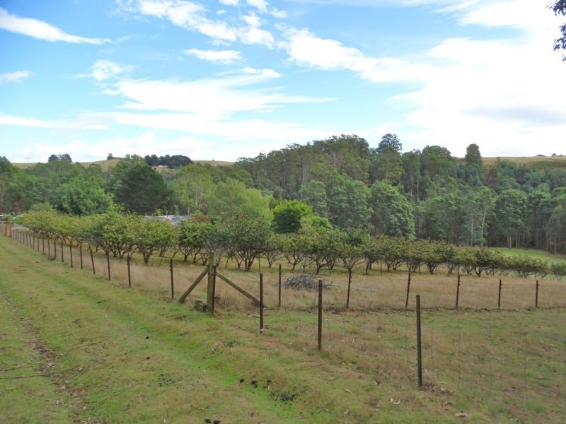 89 Browns Lane, Penguin TAS 7316