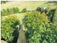 6 Fairlight Place, West Ulverstone TAS 7315