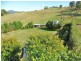 6 Fairlight Place, West Ulverstone TAS 7315
