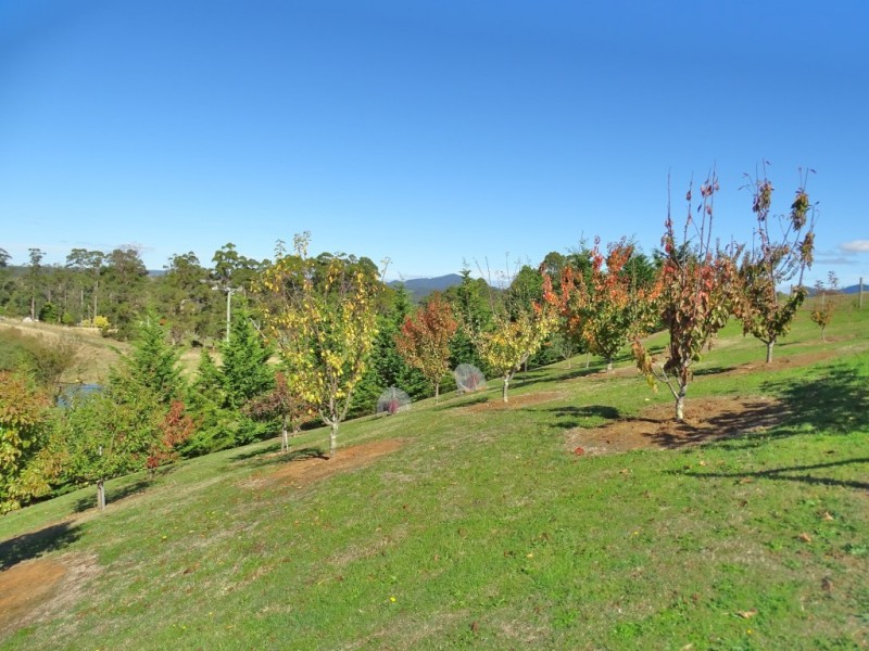 6 Fairlight Place, West Ulverstone TAS 7315