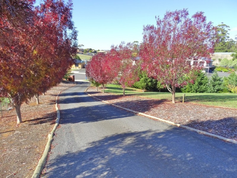 6 Fairlight Place, West Ulverstone TAS 7315