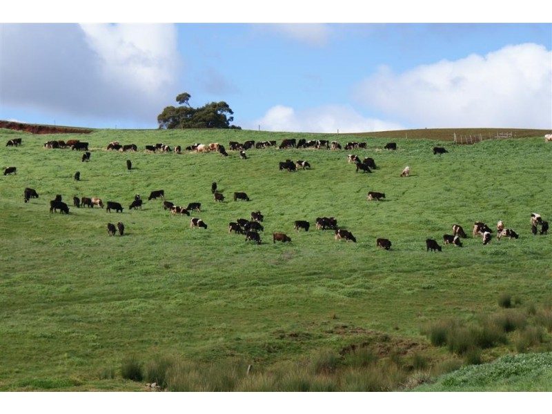 18 Chamberlain Street, Ulverstone TAS 7315