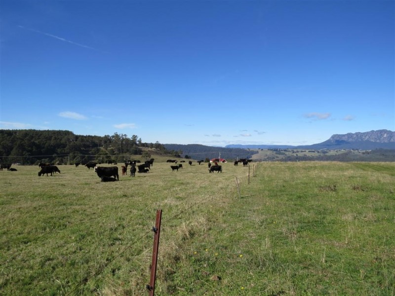 2622 Wilmot Road, Wilmot TAS 7310