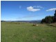 2622 Wilmot Road, Wilmot TAS 7310
