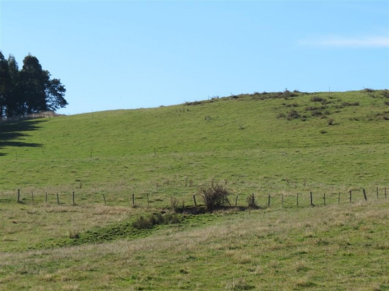 2622 Wilmot Road, Wilmot TAS 7310