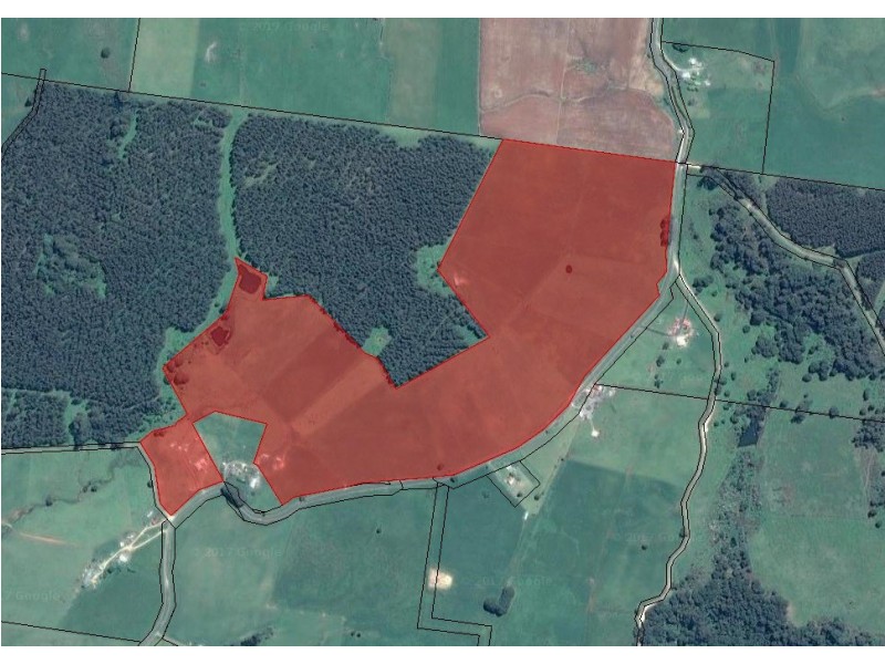 2622 Wilmot Road, Wilmot TAS 7310