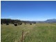 2622 Wilmot Road, Wilmot TAS 7310