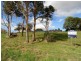 10 Top Gawler Road, Gawler TAS 7315