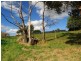 10 Top Gawler Road, Gawler TAS 7315