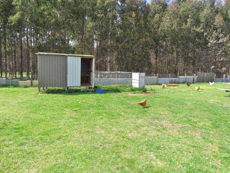 2159 Castra Road, Upper Castra TAS 7315