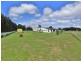 2159 Castra Road, Upper Castra TAS 7315