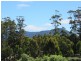 42 Hearps Road, West Ulverstone TAS 7315