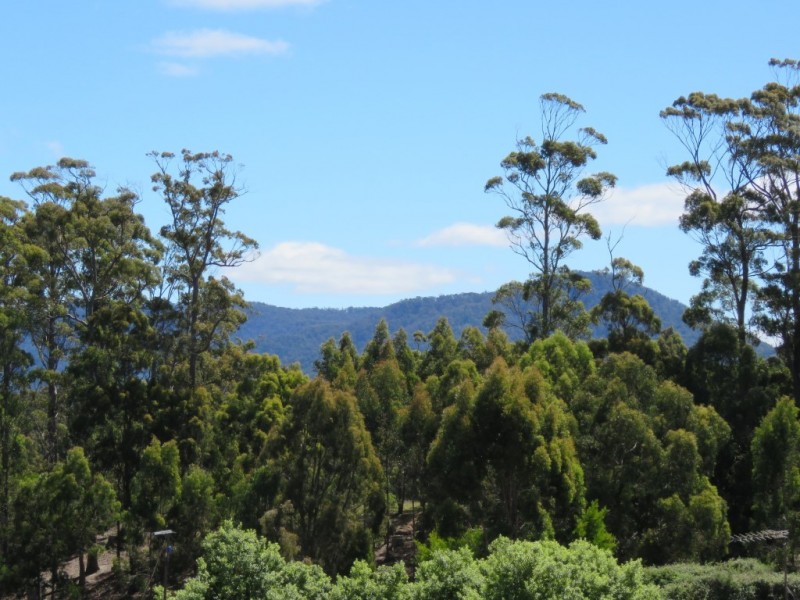 42 Hearps Road, West Ulverstone TAS 7315