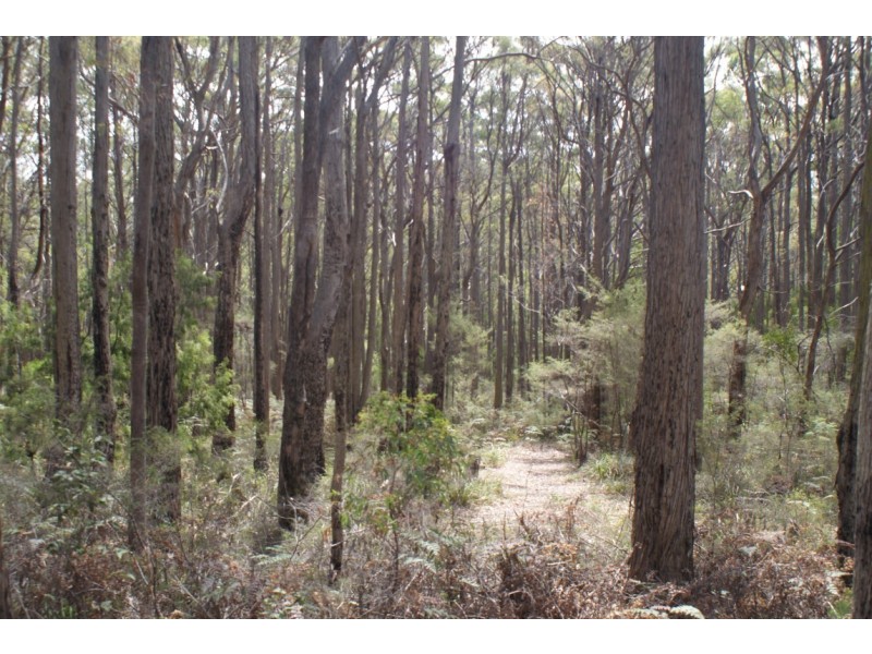 Lot 4 Stubbs Road, Turners Beach TAS 7315