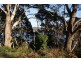 65 Leith Road, Leith TAS 7315