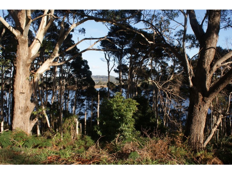 65 Leith Road, Leith TAS 7315