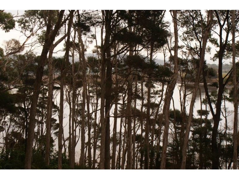 Lot 2 Leith Road, Leith TAS 7315