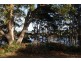 Lot 2 Leith Road, Leith TAS 7315