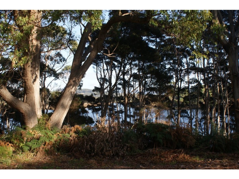 Lot 2 Leith Road, Leith TAS 7315