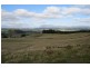 490 Back Road, Wilmot TAS 7310