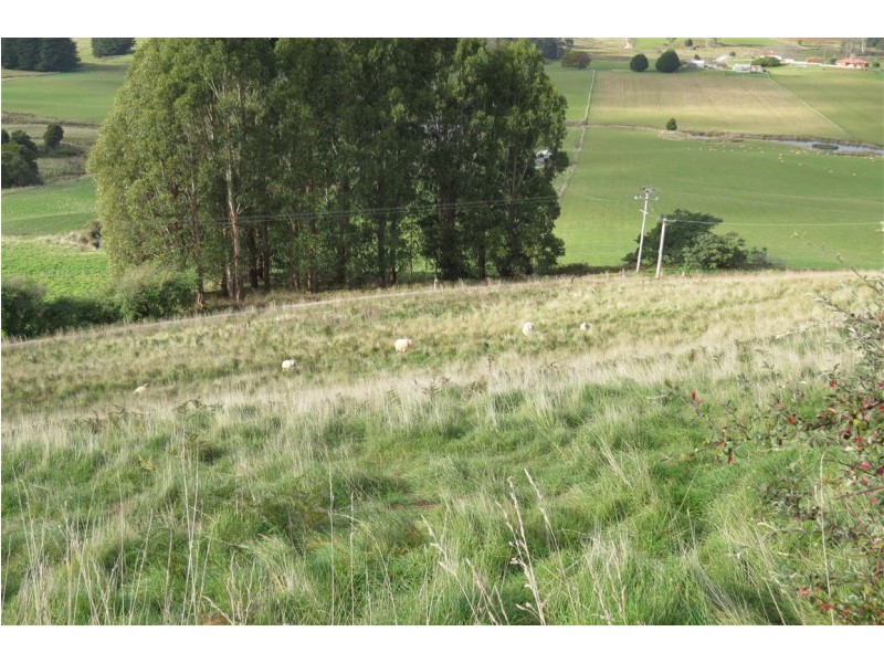 490 Back Road, Wilmot TAS 7310