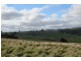 490 Back Road, Wilmot TAS 7310