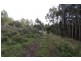 490 Back Road, Wilmot TAS 7310