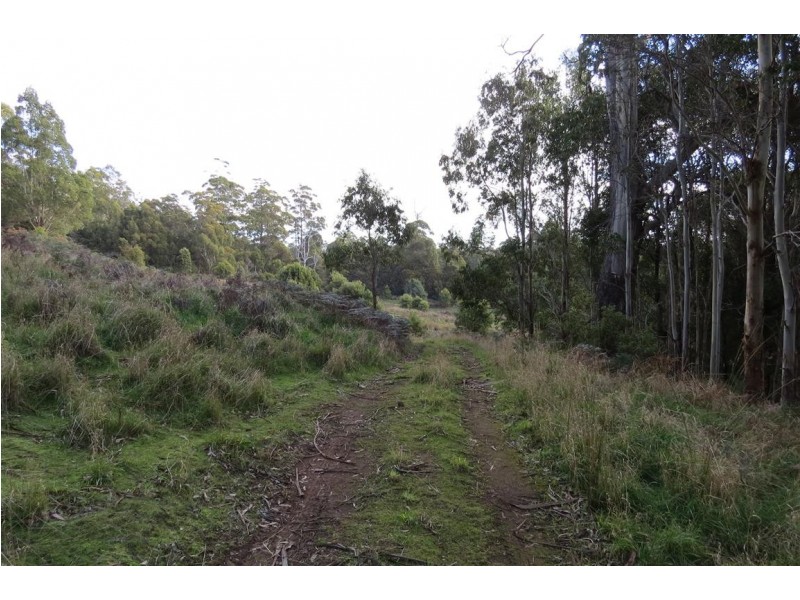 490 Back Road, Wilmot TAS 7310