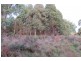 490 Back Road, Wilmot TAS 7310