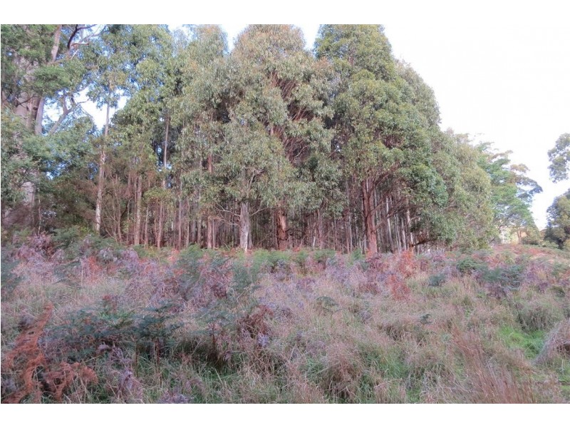 490 Back Road, Wilmot TAS 7310