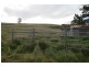 490 Back Road, Wilmot TAS 7310