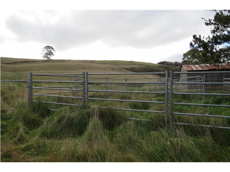 490 Back Road, Wilmot TAS 7310
