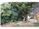 490 Back Road, Wilmot TAS 7310