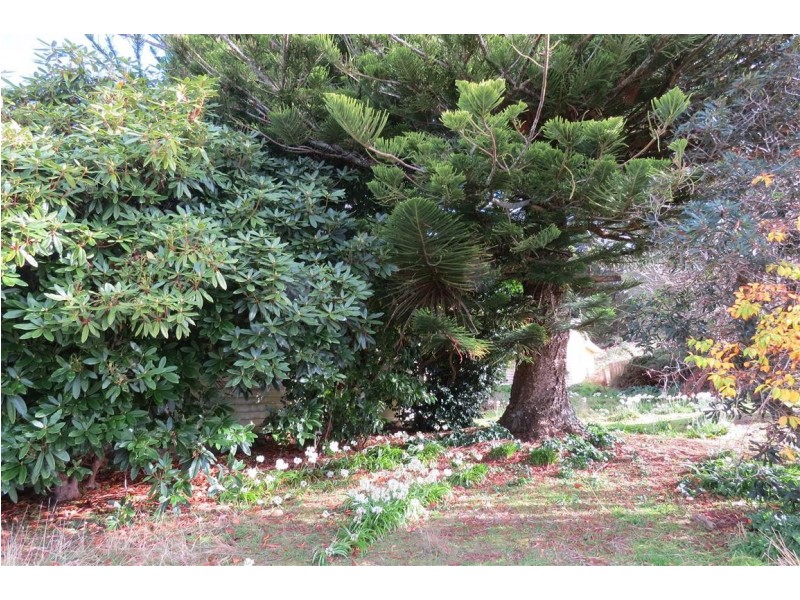 490 Back Road, Wilmot TAS 7310